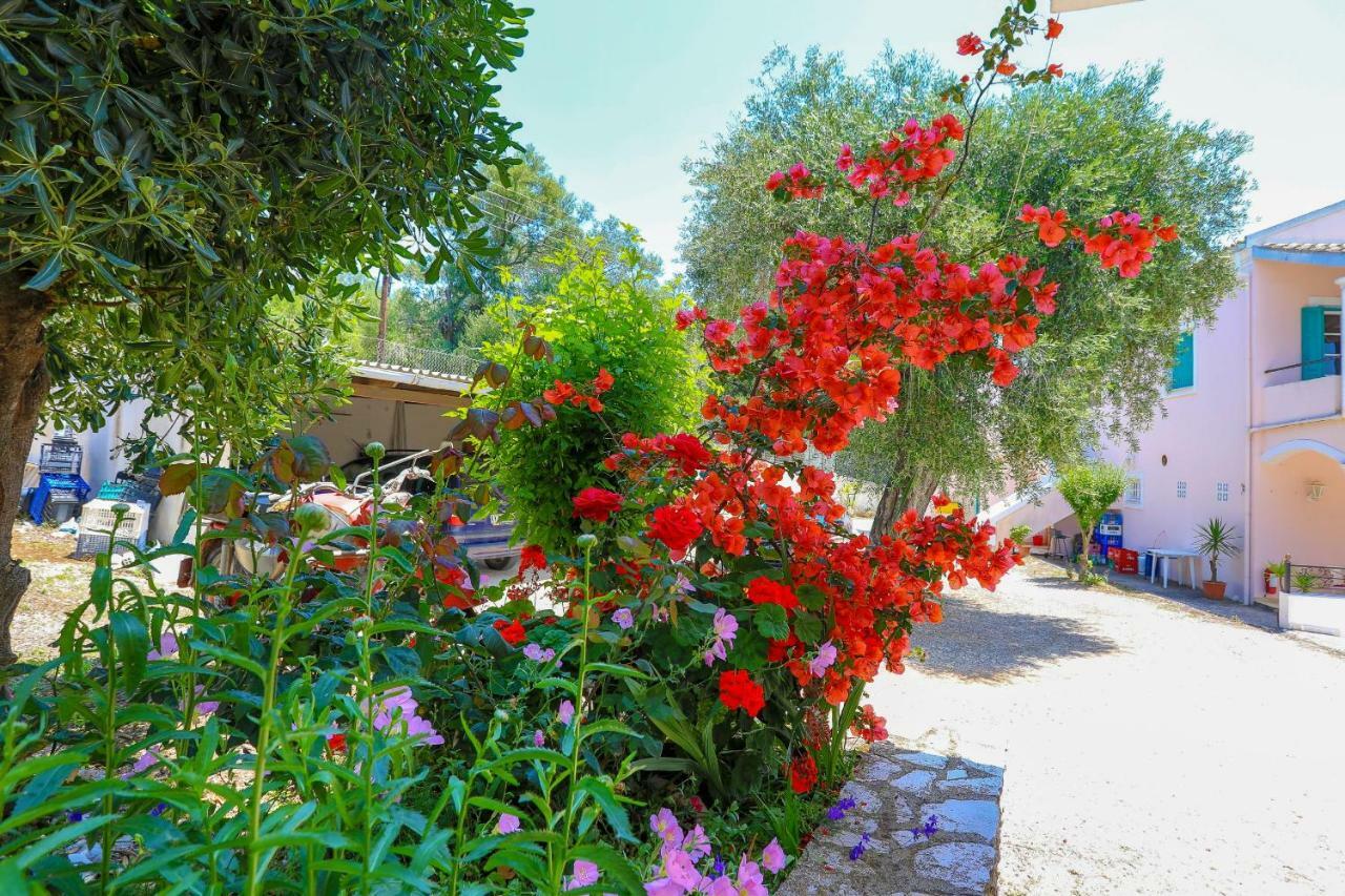 Fran Apartments Agios Spyridon  ภายนอก รูปภาพ